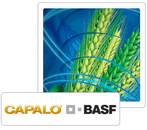 BASF-CAPALO